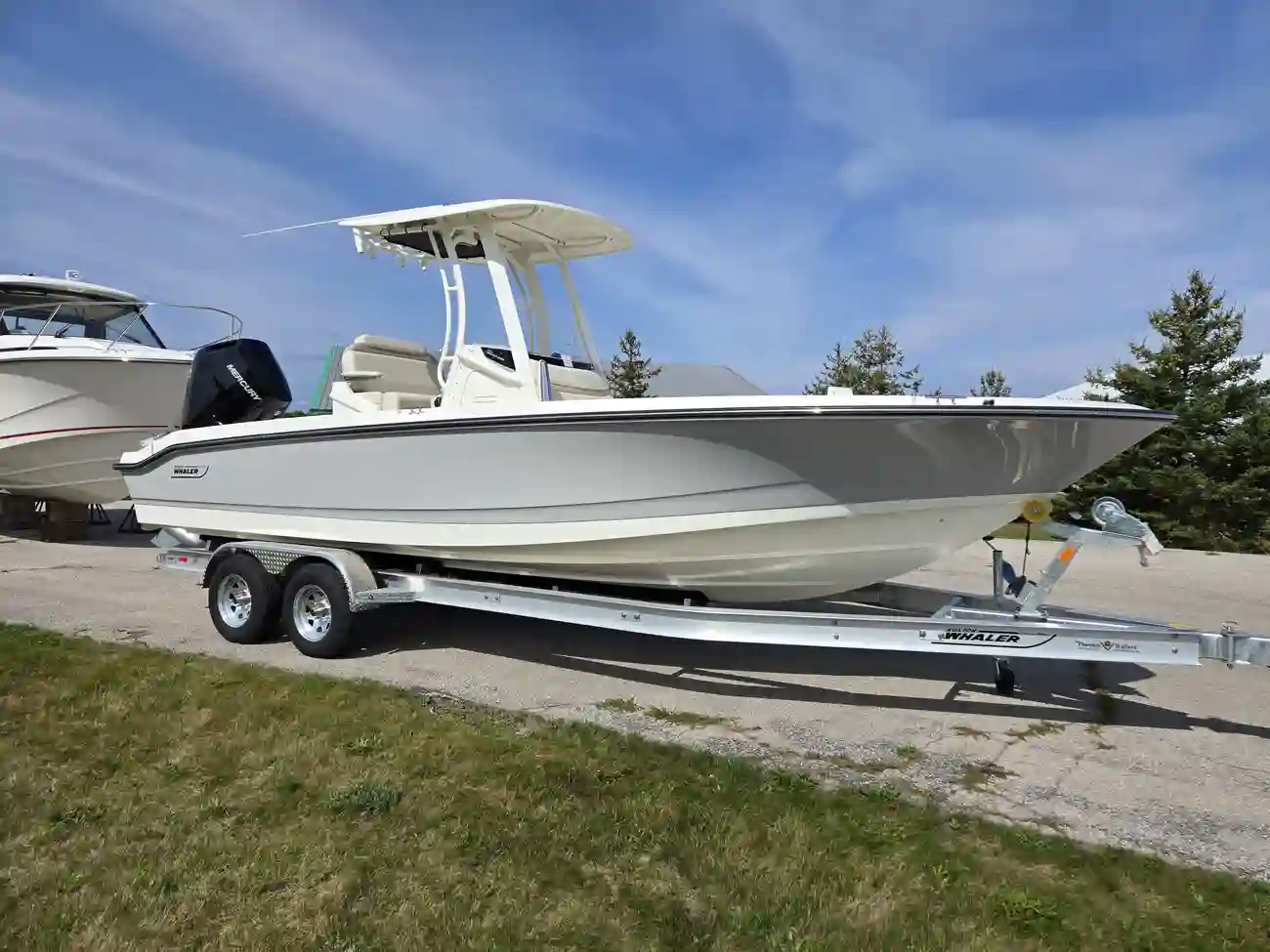 Boston Whaler 250 Dauntless