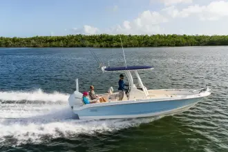 Thumbnail von Boston Whaler 220 Dauntless