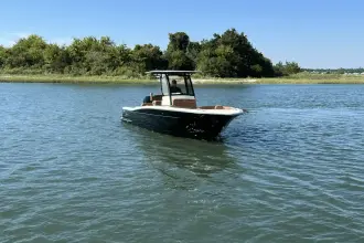 Thumbnail von Scout 240 XSF