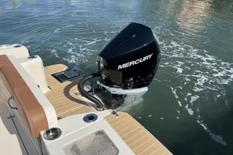 Thumbnail von Scout 240 XSF