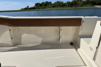 Thumbnail von Scout 240 XSF