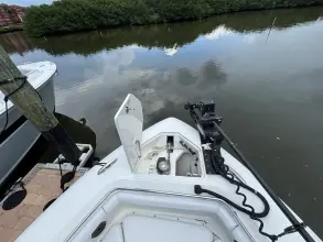 Thumbnail von Boston Whaler 350 Outrage