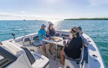 Thumbnail von Cobia 305 CC