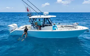 Thumbnail von Cobia 305 CC