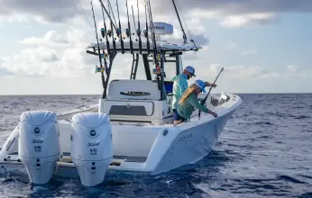 Thumbnail von Cobia 305 CC