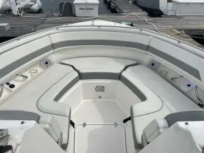 Thumbnail von Pursuit DC 326 Shep's Ahoy