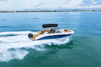Thumbnail von Sea Ray SDX 250