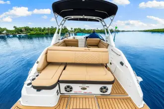 Thumbnail von Sea Ray SDX 250