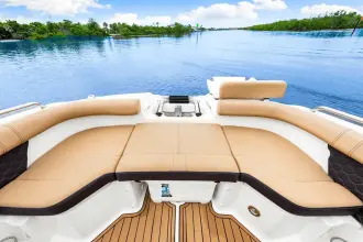 Thumbnail von Sea Ray SDX 250