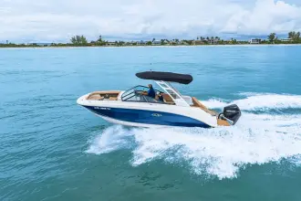 Thumbnail von Sea Ray SDX 250