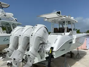 Thumbnail von Everglades 375 CC Whisper Green