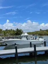 Thumbnail von Yellowfin 34 Offshore