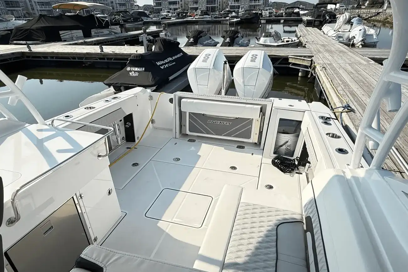 Thumbnail von Blackfin 272 DC