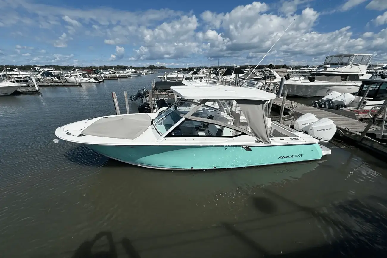 Thumbnail von Blackfin 272 DC