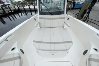 Thumbnail von Boston Whaler 280 Dauntless
