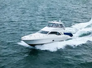 Thumbnail von Sea Ray 580 Sedan Bridge SEA-DELS