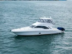 Thumbnail von Sea Ray 580 Sedan Bridge SEA-DELS