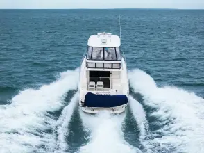 Thumbnail von Sea Ray 580 Sedan Bridge SEA-DELS