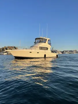 Silverton 42 Convertible She's From Boston