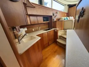 Thumbnail von Silverton 42 Convertible She's From Boston