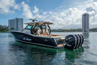 Thumbnail von Scout 380 LXF