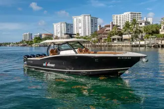 Thumbnail von Scout 380 LXF