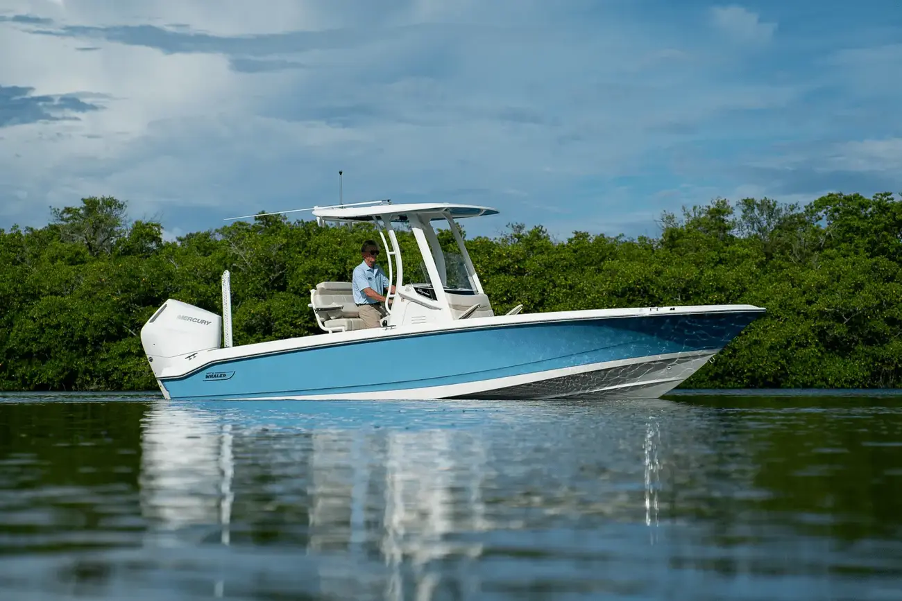 Boston Whaler 250 Dauntless