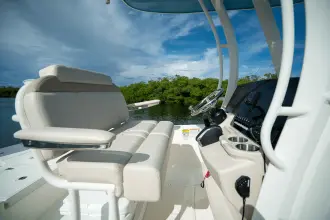 Thumbnail von Boston Whaler 250 Dauntless