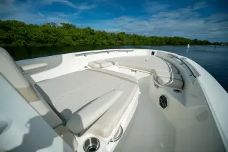 Thumbnail von Boston Whaler 250 Dauntless