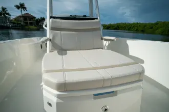 Thumbnail von Boston Whaler 250 Dauntless
