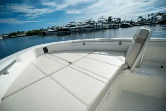 Thumbnail von Boston Whaler 250 Dauntless