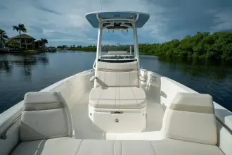 Thumbnail von Boston Whaler 250 Dauntless