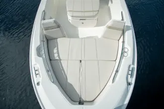 Thumbnail von Boston Whaler 250 Dauntless