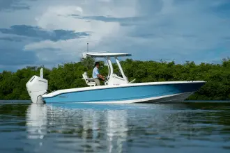 Thumbnail von Boston Whaler 250 Dauntless