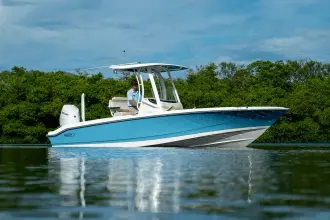 Thumbnail von Boston Whaler 250 Dauntless