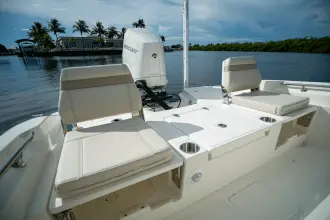 Thumbnail von Boston Whaler 250 Dauntless