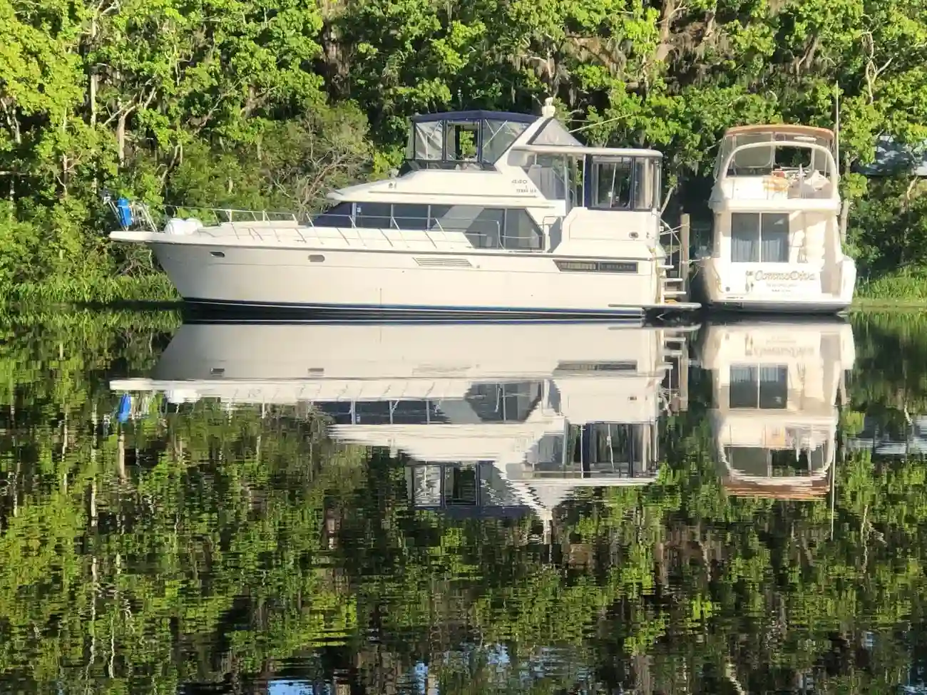 Carver 440 Aft Cabin Motor Yacht Grace
