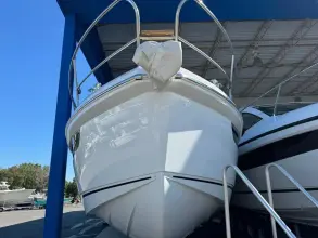 Thumbnail von Sealine S335V