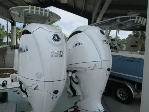 Thumbnail von Cobia 	265 Open