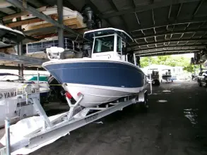 Thumbnail von Blackfin 242 HB