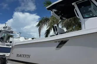 Thumbnail von Blackfin 252 CC