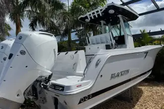 Thumbnail von Blackfin 252 CC