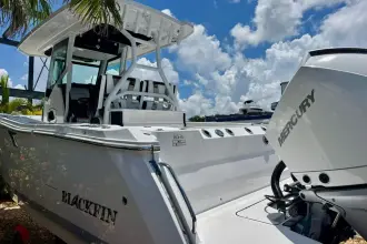 Thumbnail von Blackfin 272 CC