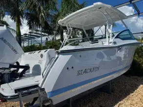 Thumbnail von Blackfin 272 DC