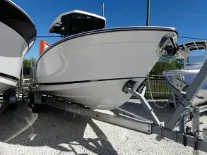 Thumbnail von Blackfin 252 CC