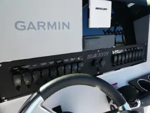 Thumbnail von Blackfin 252 CC