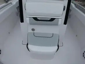 Thumbnail von Blackfin 252 CC