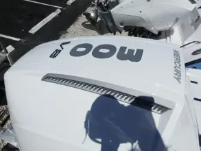 Thumbnail von Blackfin 242HB