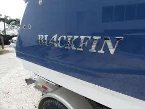 Thumbnail von Blackfin 272 CC