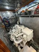 Thumbnail von Jefferson 52` Sweet Caroline